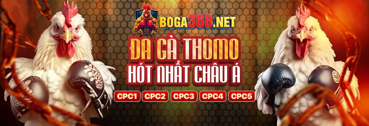Đấu trường đá gà trực tuyến 69vnv với hình ảnh mạnh mẽ và giao diện hiện đại